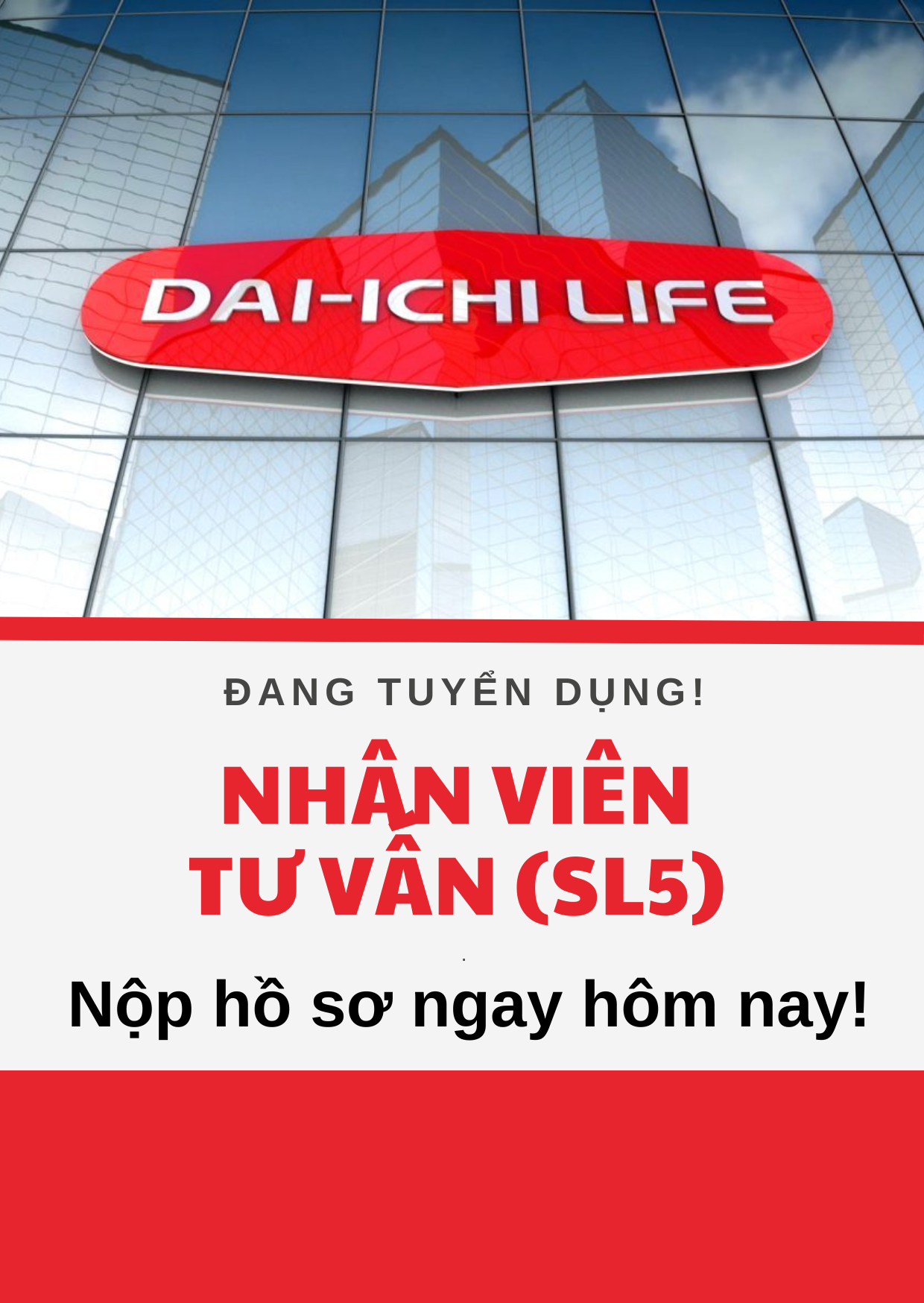 lĩnh vực hoạt động